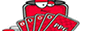Pro Poker Guide
